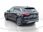 2025 Ford Escape PHEV FWD