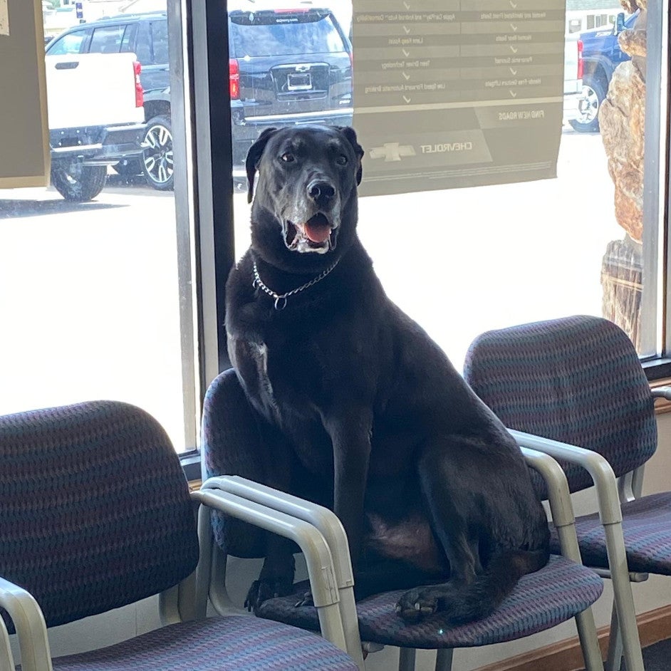 Meet the Dominion Chevrolet team